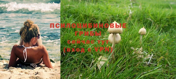 соль ск Белокуриха