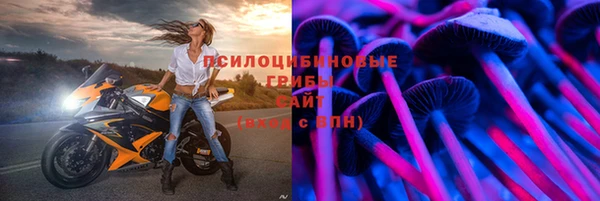 соль ск Белокуриха
