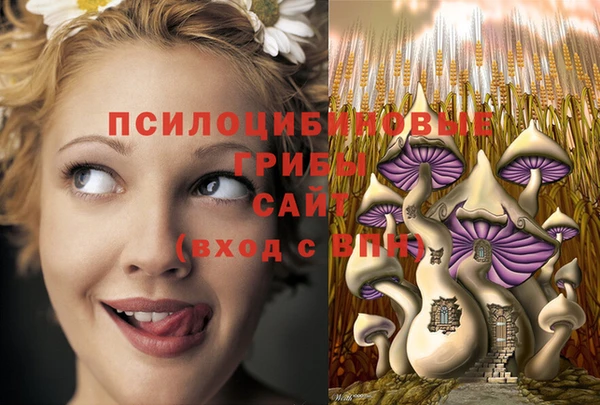ALPHA PVP Беломорск