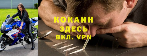 соль ск Белокуриха